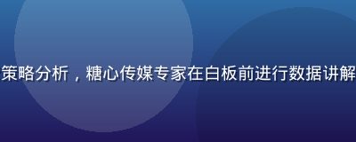 小红书平台内容运营策略分析，糖心传媒专家在白板前进行数据讲解，现代明亮办公环境